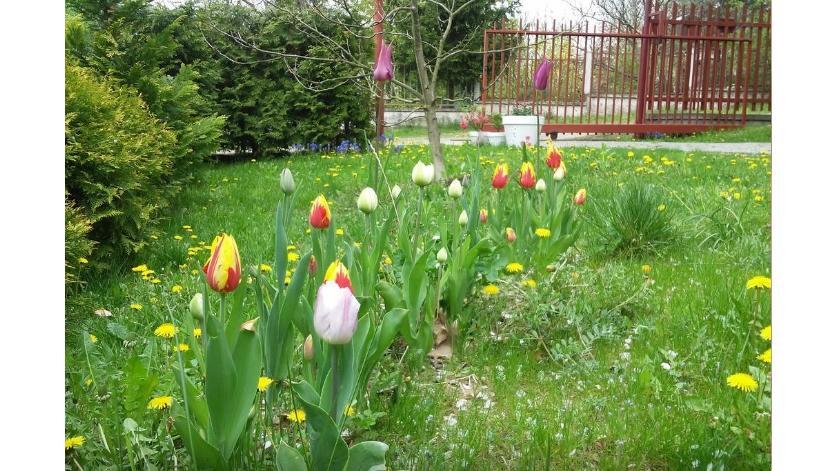 Apartman Vrane Vrane nad Vltavou Luaran gambar
